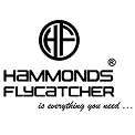Hammonds Flycatcher